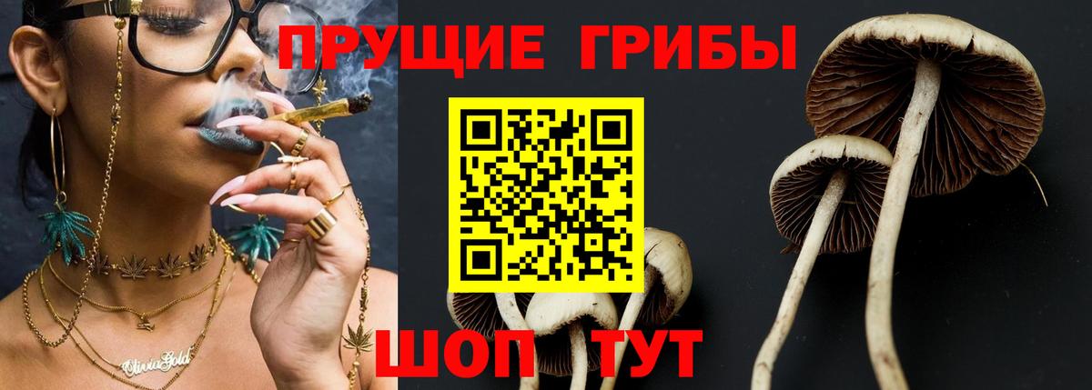 Псилоцибиновые грибы MAGIC MUSHROOMS Ставрополь